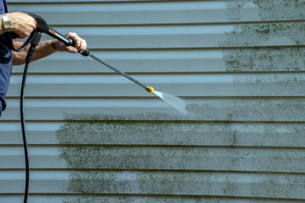 Best Affordable Power Washing  in Oakwood, PA